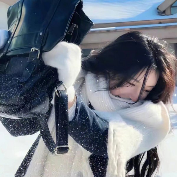 女王鲨封面