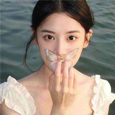 黑蝶杀机封面