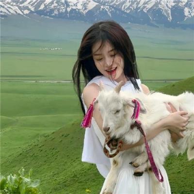 赛马娘封面